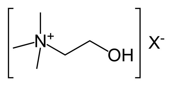 Choline, total